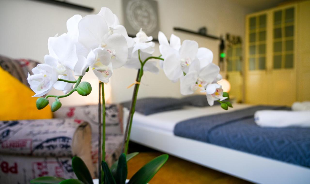 Apartamento Cozy Margareten Viena